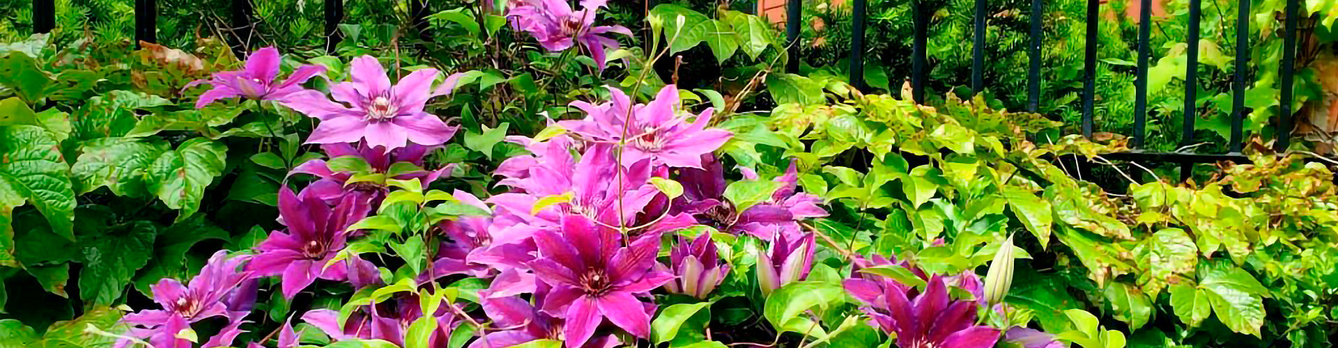 Vallas de jardín, ¿cómo elegir la perfecta para tu hogar?